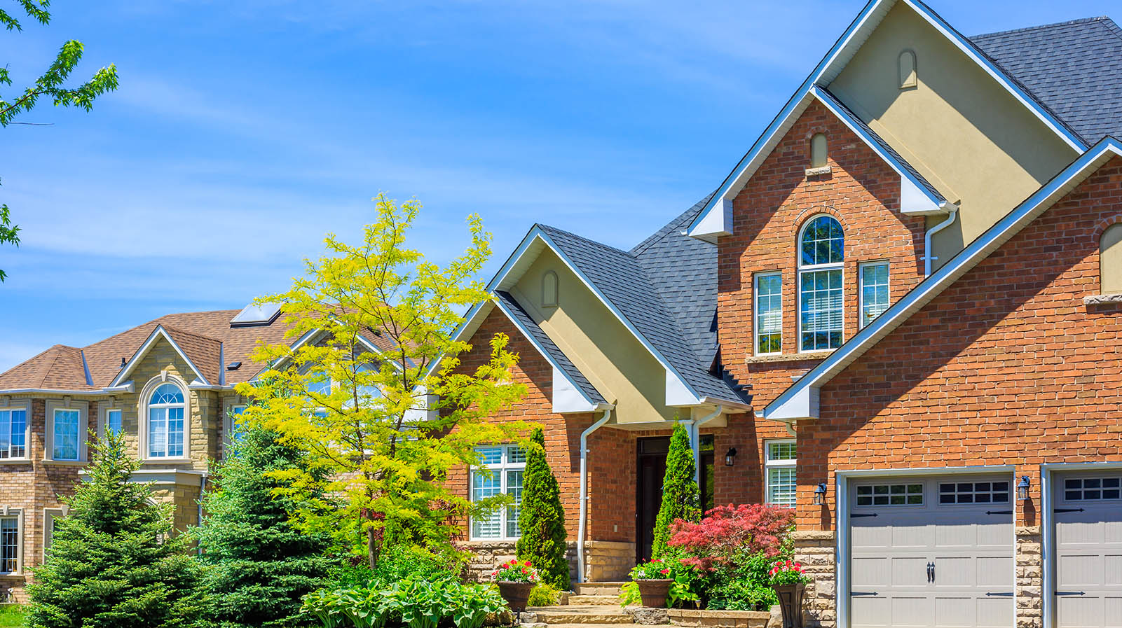 Hot Property for Thursday, January 1, 2026